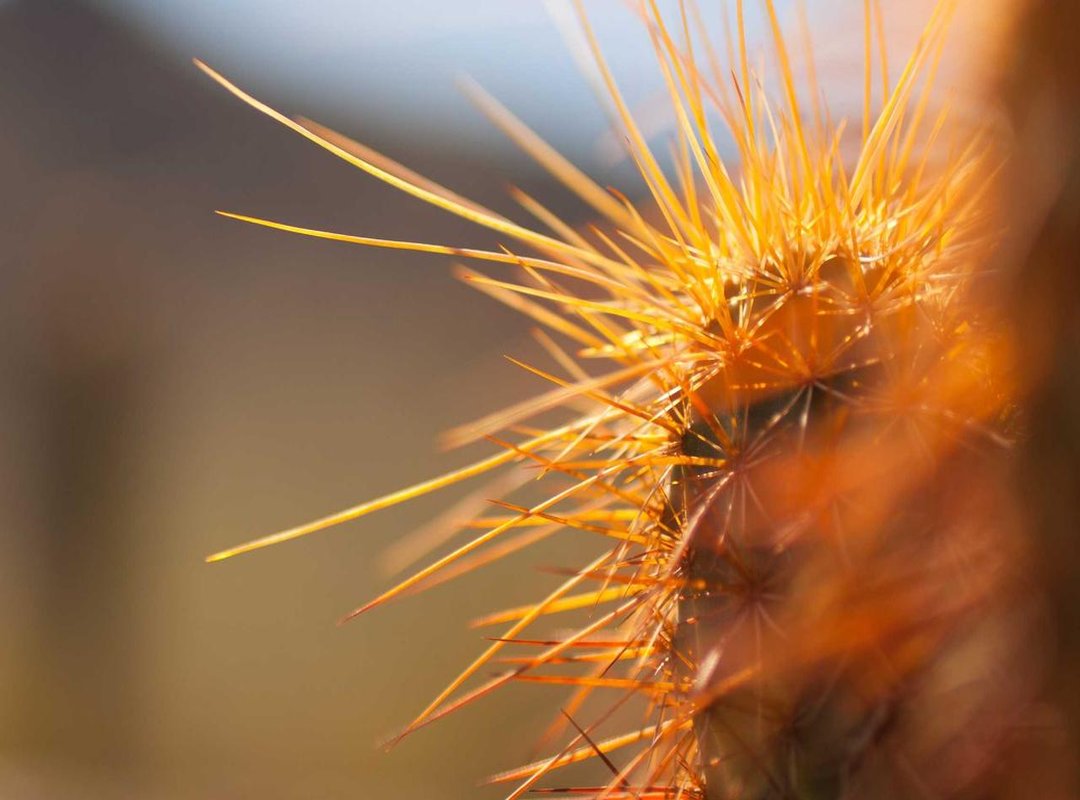 Beyond the Drama: Legal and Ethical Implications for Creators