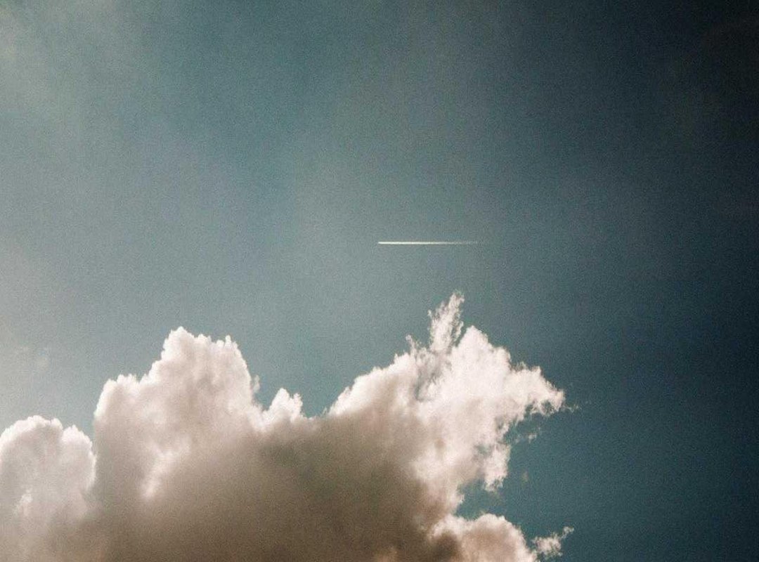 Step-by-Step: Assembling Your Family Tree Model