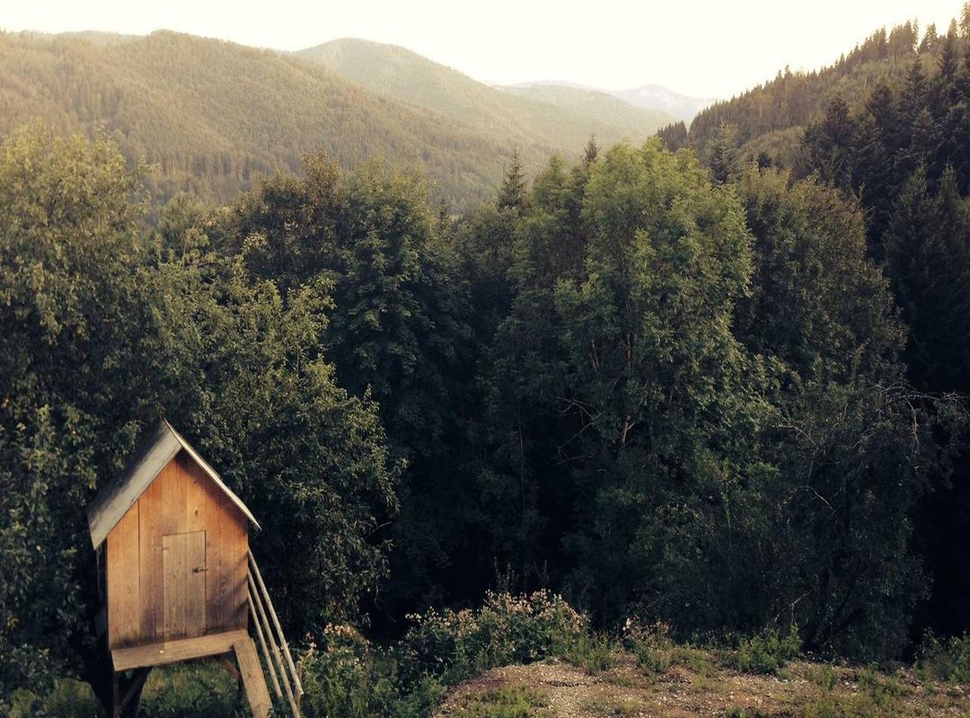 Solving the Mystery: Are Their Wedding Photos Publicly Available?