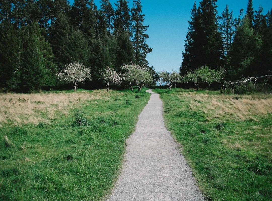 Invest in Confidence: Making Your Final Choice