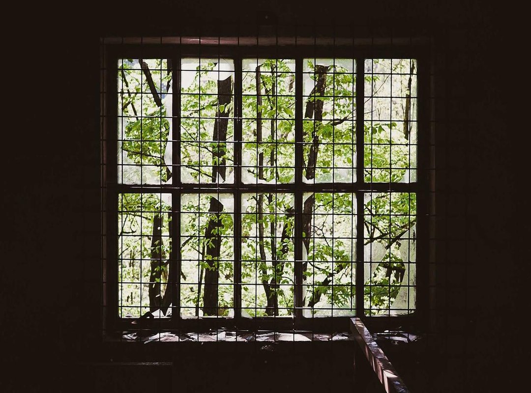 The Journey: Her Background and Professional Credentials