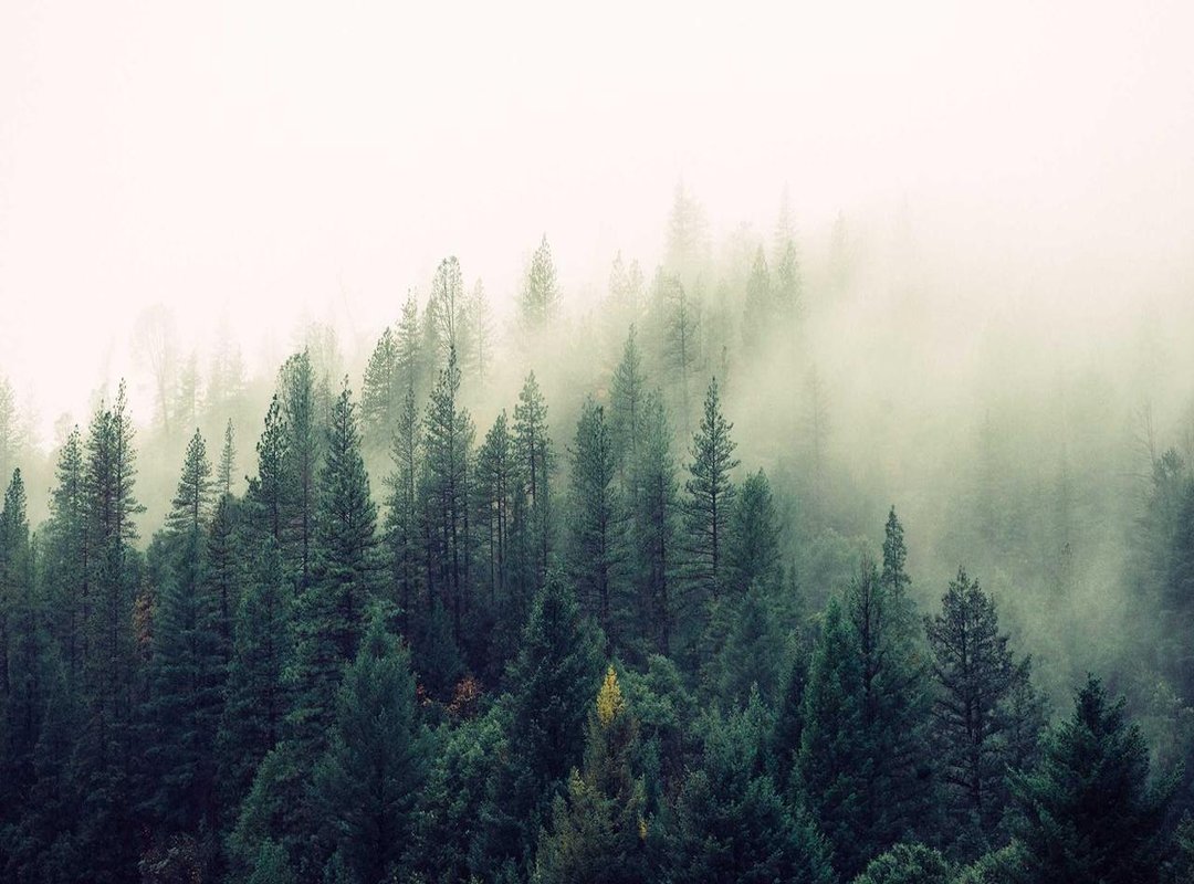 Top Picks: Best Sources for Megbanksxo Nude Content