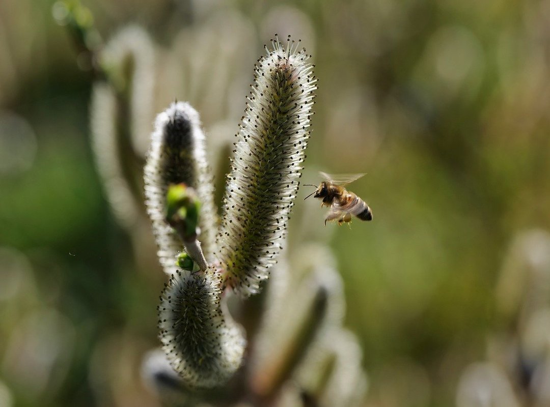 The Brand Beyond the Online Buzz