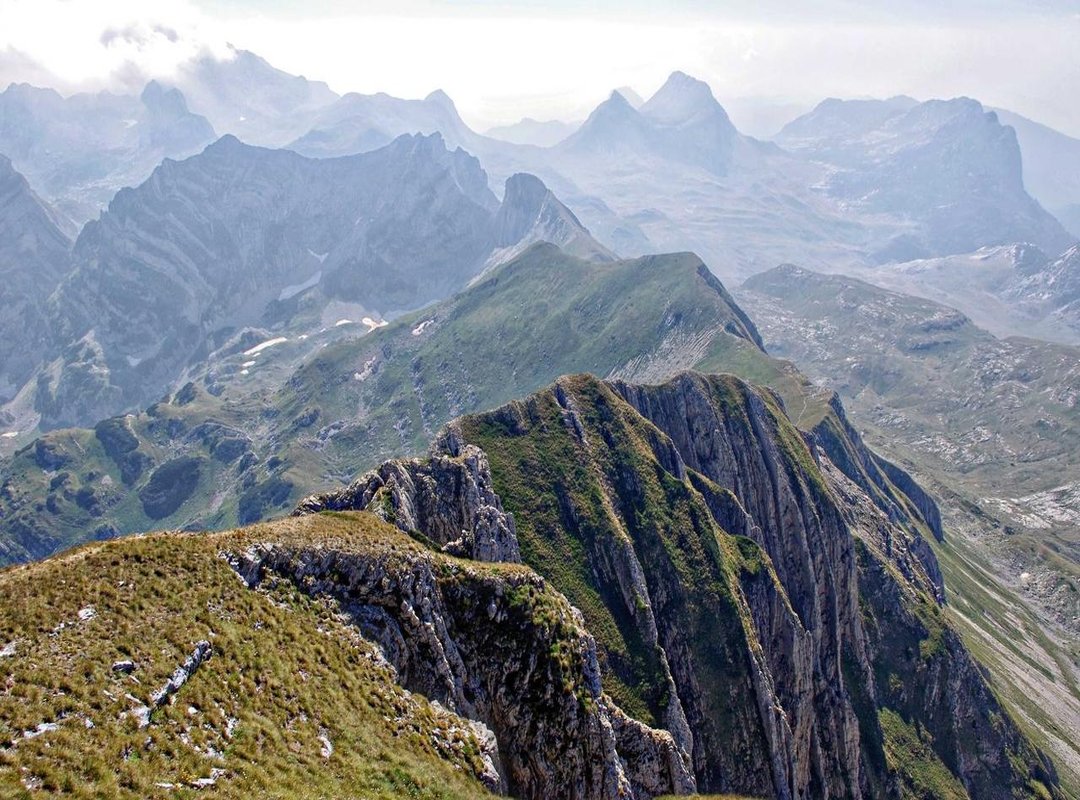 Real Estate and Lifestyle: Managing Her Fortune