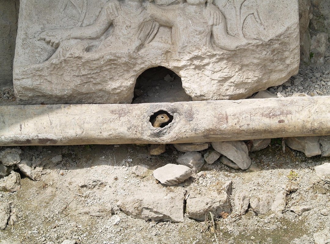 trainer fitness plan tips